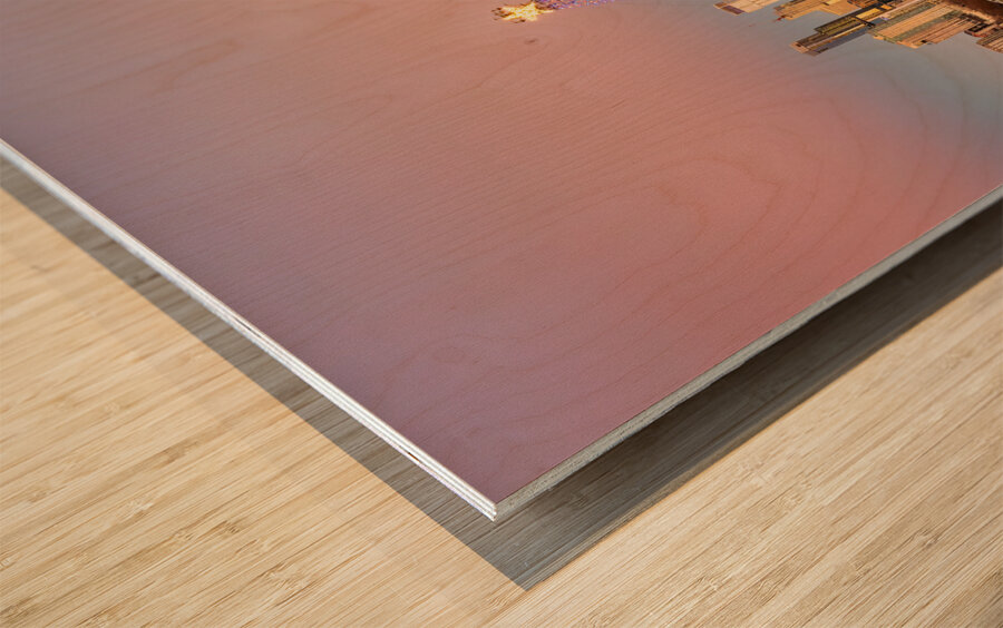 Cityscape of downtown Austin from the west in Zilker park 2025 Wood print