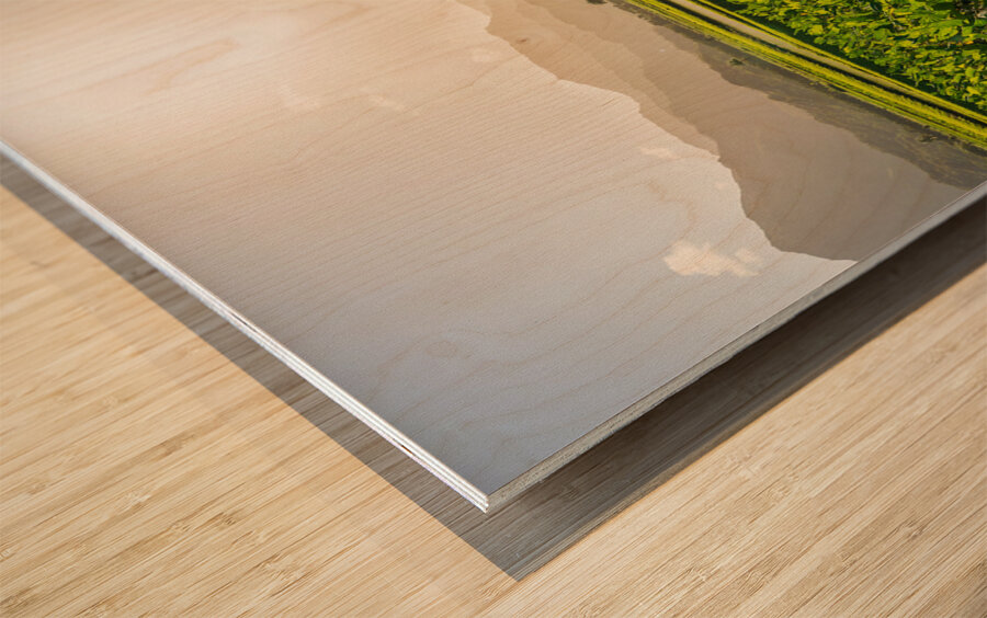 Verdant taro fields thrive under the Hawaiian sun near Hanalei B Wood print