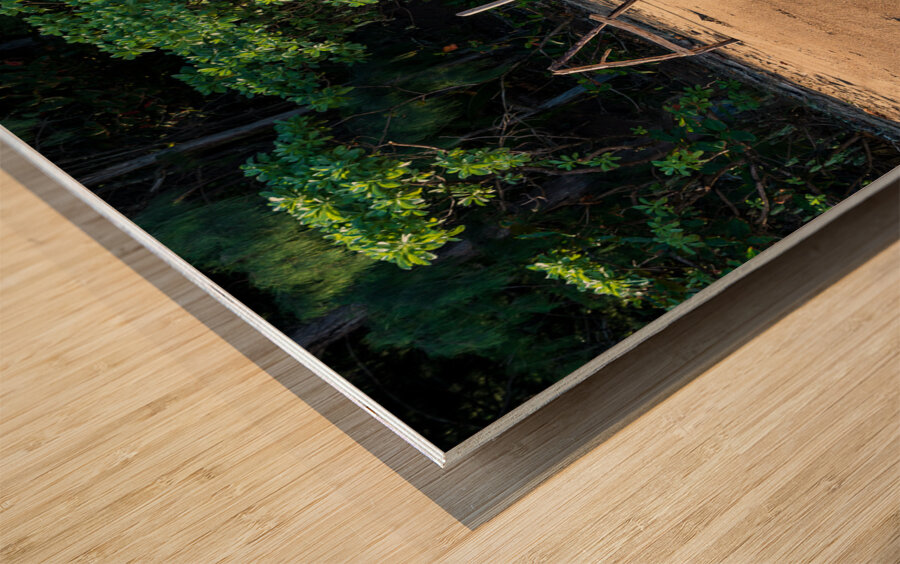 Aloha from Kauai: A driftwood greeting spells out a warm welcome Wood print