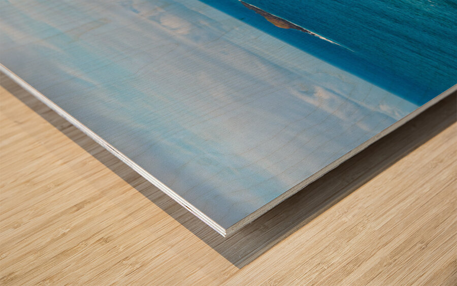 Overhead view of Kauapea or Secret beach to Kilauea lighthouse Wood print