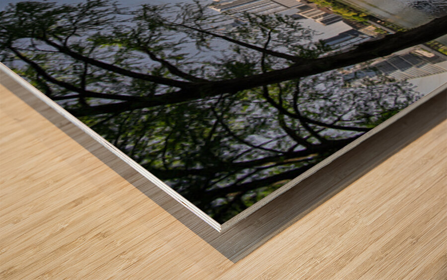 Fisheye lens view of Austin skyline including Congress bridge Wood print