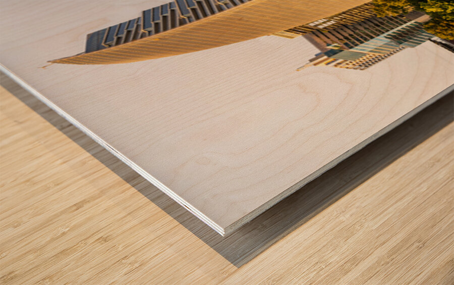 Sail building in the city skyline of Austin Texas in summer 2025 Wood print