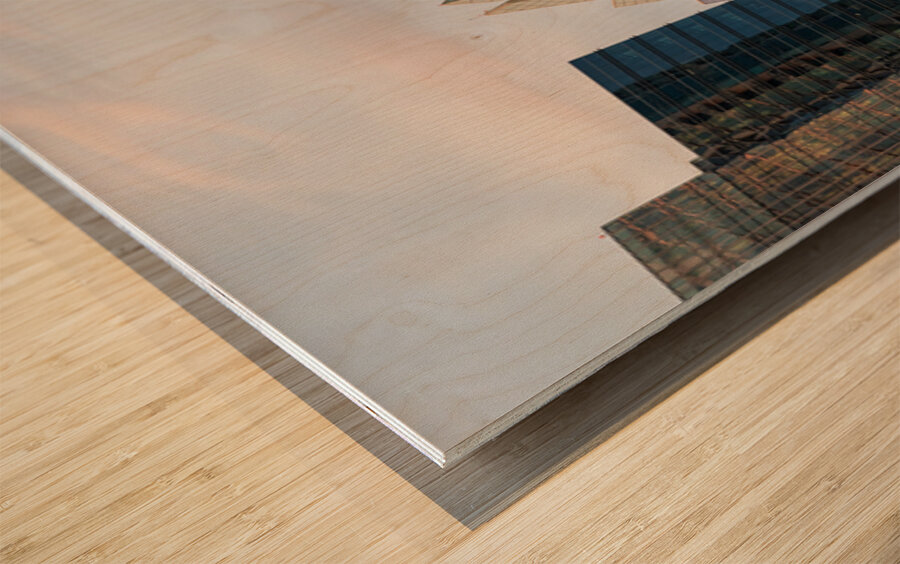 Frost Bank Tower in Austin said to resemble the head of an owl s Wood print