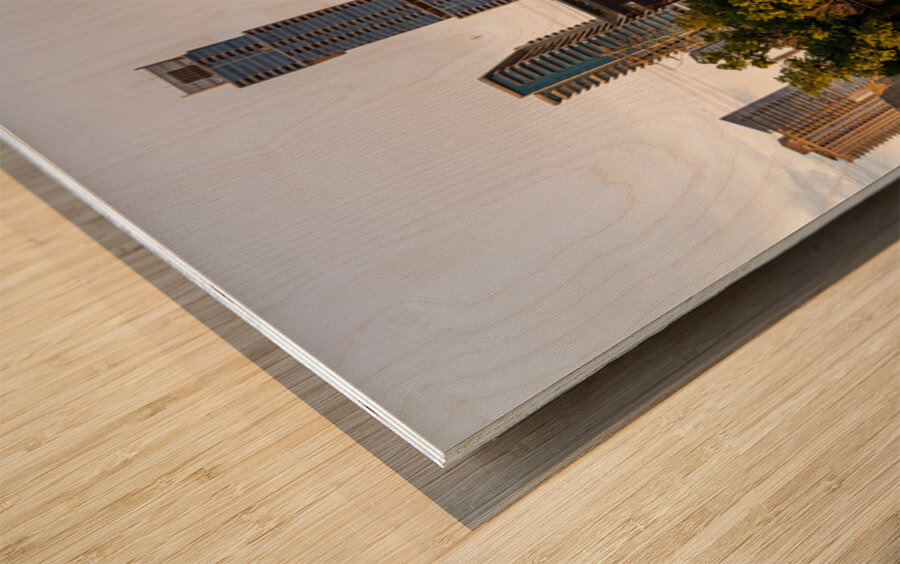 Austin Central Library with Jenga building Texas Wood print