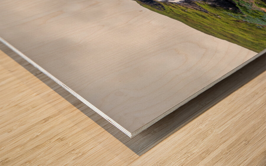 Waterfall in Tunhudalur valley near Isafjordur Iceland with lupi Wood print