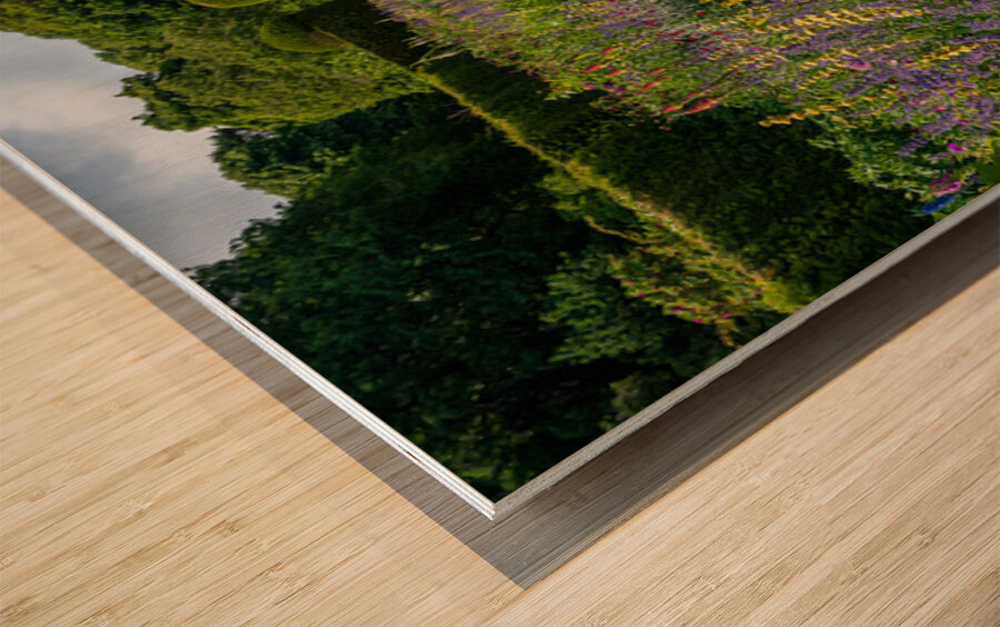 Flowering shrubs in a hedged flower garden on the Isle of Wight Wood print