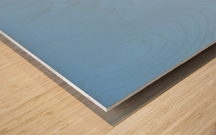 Small bush clinging to life on arid desert hillside in minimalis Wood print