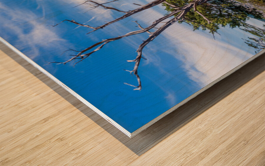 View from the Washington Park overlook over the town of Anacorte Wood print