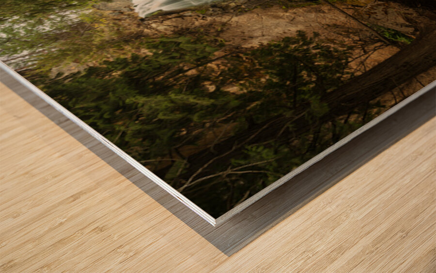 Falls Creek Falls near Winthrop in Cascade Mountains in Washingt Wood print