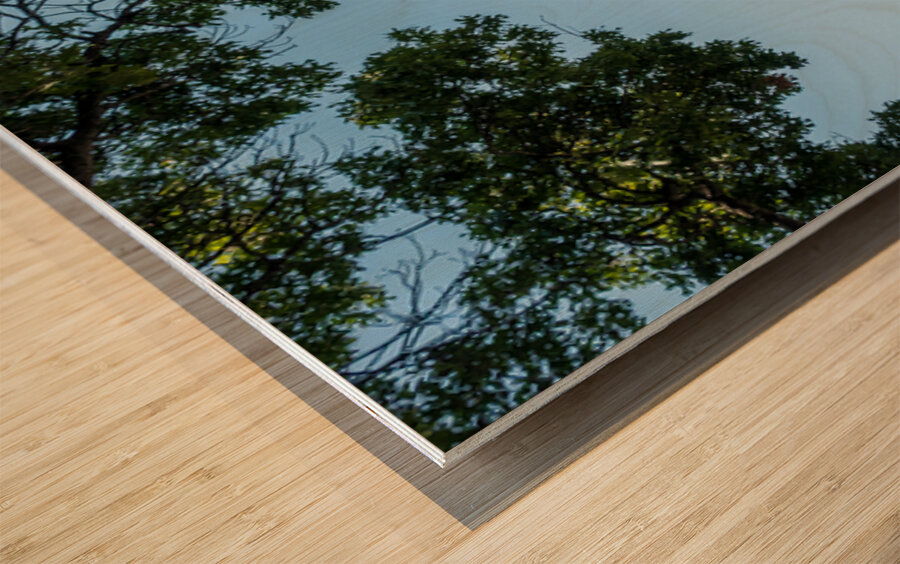 Historic Georgetown Courthouse in the town square in Texas Wood print