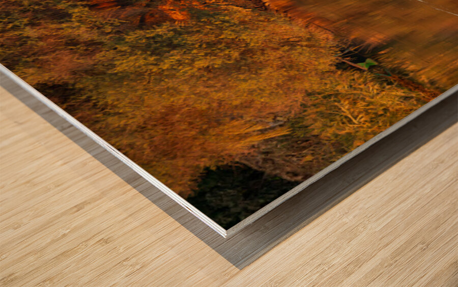 Man in traditional galabia fishing from small boat on river Nile Wood print