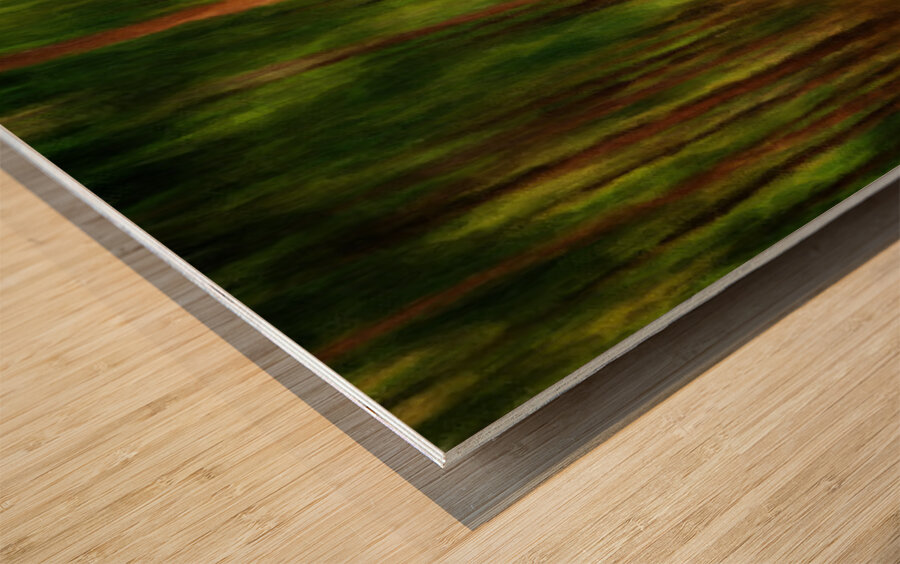 Oil painting impression of mahogany forest Wood print