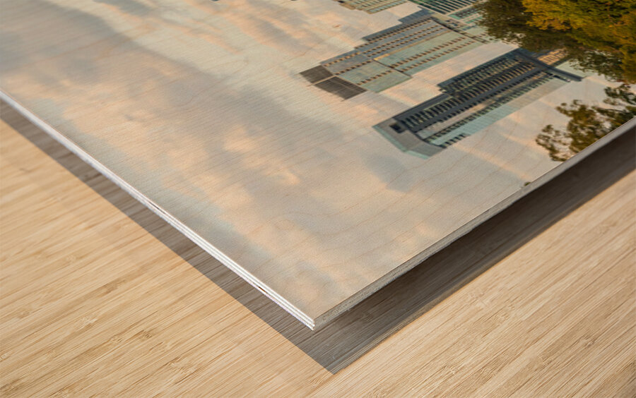 View of the Austin skyline at sunset over Barton Springs swimmin Wood print