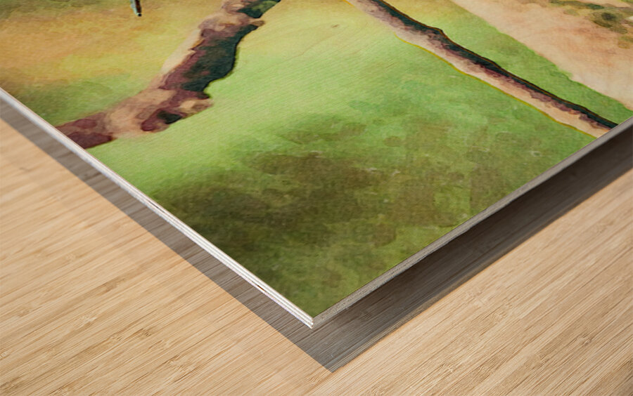 White throated mountaingem hummingbird perched on a twig  in Cos Wood print