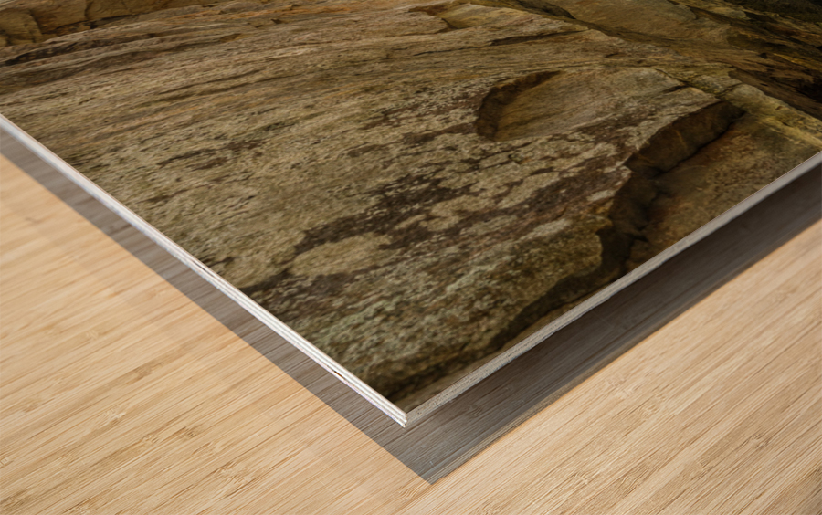 Boardwalk in Audra State Park near Buckhannon in West Virginia Wood print