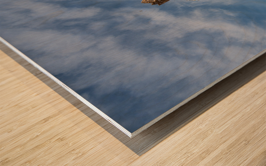 Statue for the Fallas Festival in Valencia Wood print