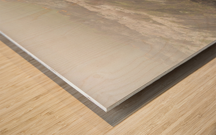 Harbour of Port Quin in Cornwall Wood print