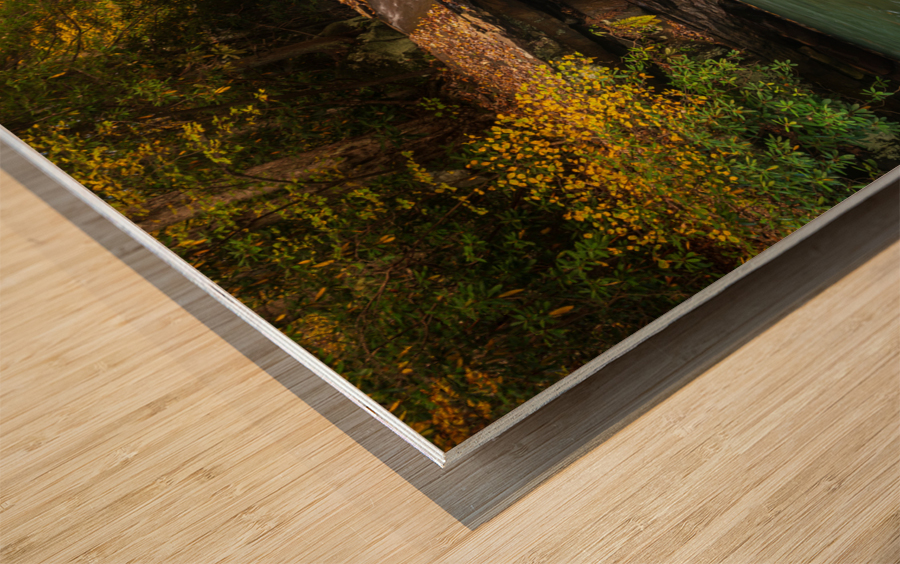 Waterfall on Deckers Creek near Masontown Wood print