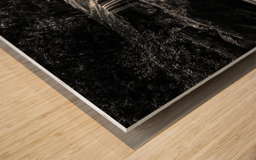 Black and White Waterfall on Deckers Creek Wood print