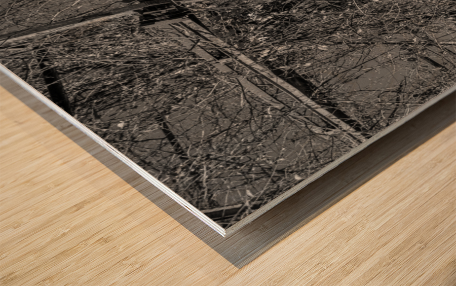 Ferris Wheel ride at abandoned funfair  Wood print