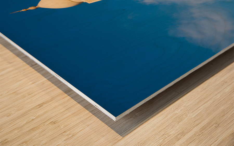 Shaikh Isa bin Ali Mosque Bahrain Wood print