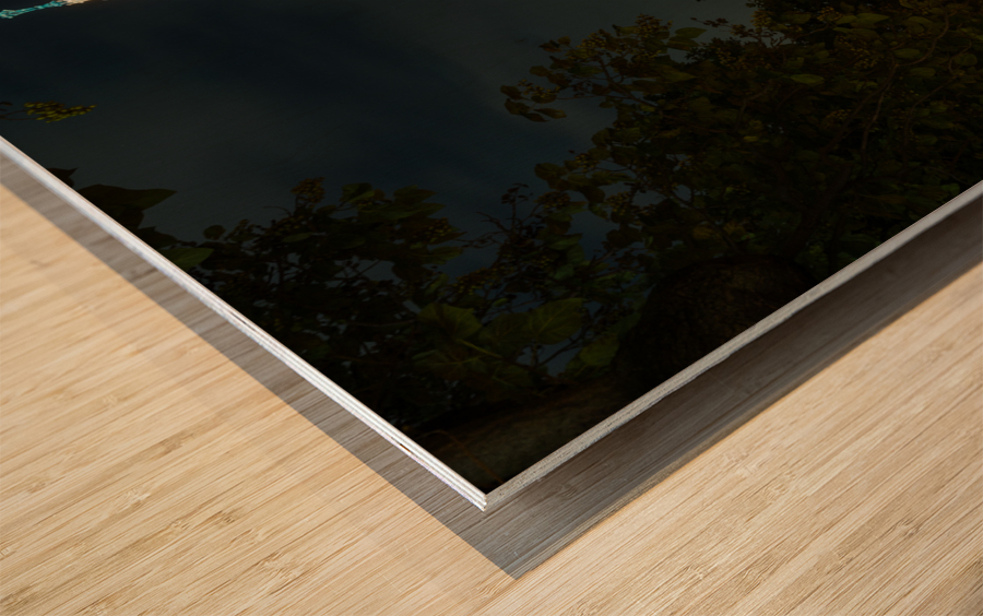  Rathaus in Vienna Austria Wood print