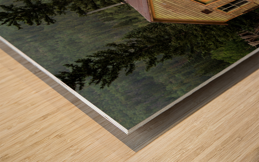 Main street in Ghost Town of St Elmo Wood print