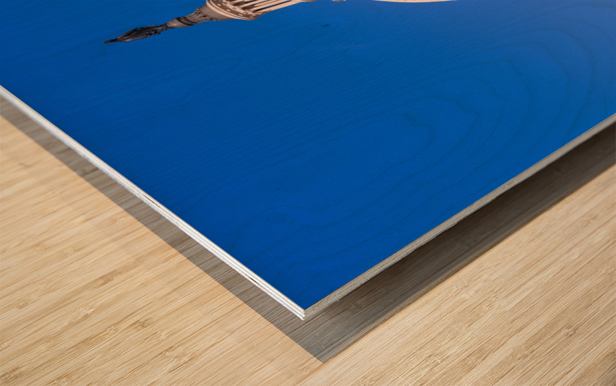 Dome of the Capitol building in Washington DC Wood print