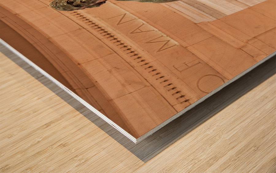 Statue of Thomas Jefferson Washington DC Wood print