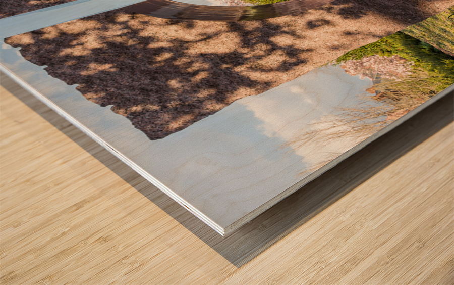 Smithsonian Institution gardens Washington DC Wood print