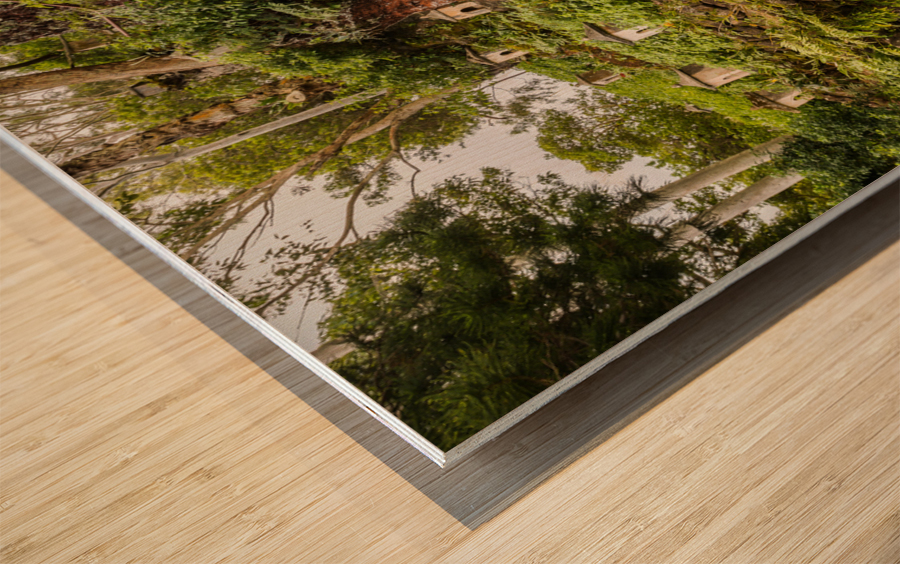 88 Buddhist temples at Lawai Valley Kauai Wood print