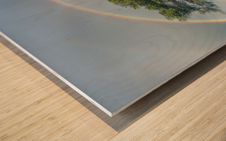 Tree of life with rainbow Wood print