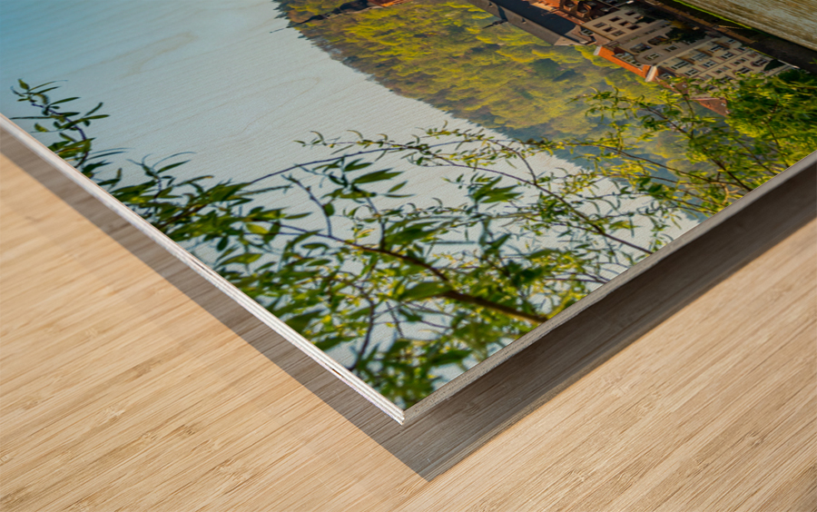 Old bridge into town of Heidelberg Germany Wood print