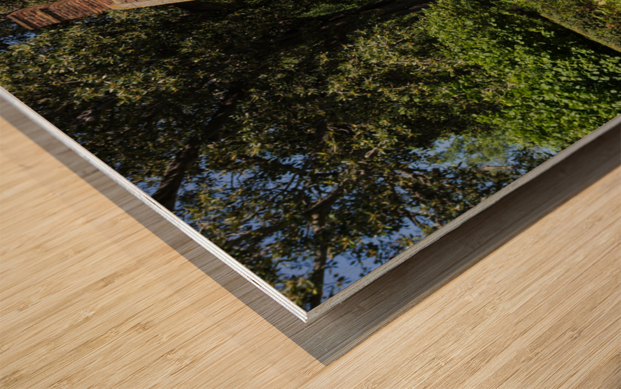 Cottage garden of small brick home Wood print