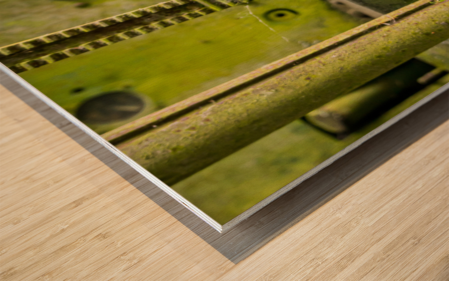 Moss covered farm machinery with handle Wood print