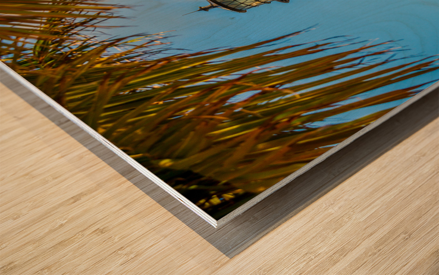 Cape Florida lighthouse in Bill Baggs State Park Wood print