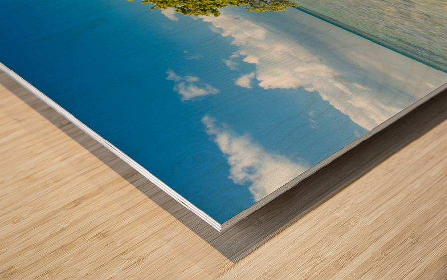 Florida Keys Annes Beach Wood print