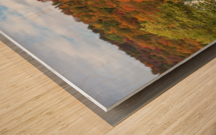 Stop in the name of love road sign in Vermont Wood print