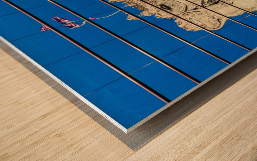 Reflection of Chicago Tribune Tower Wood print