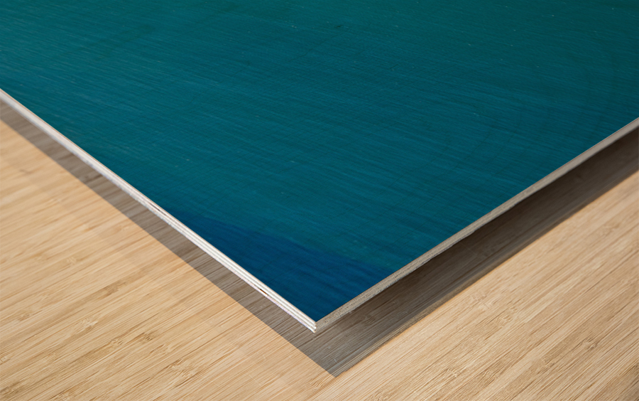 Garden Island of Kauai from helicopter tour Wood print