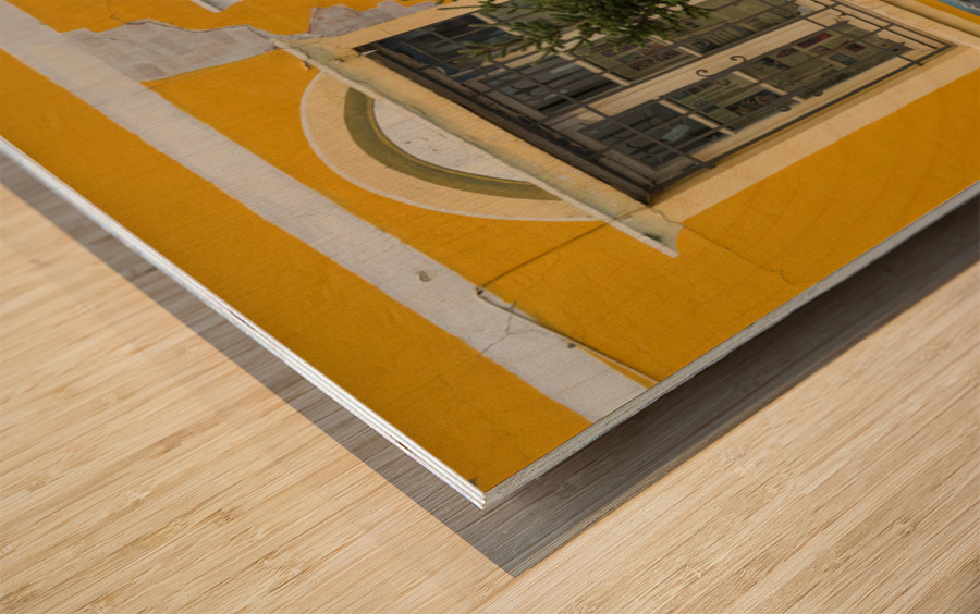 Wall mural on building in Punta Arenas in Chile Wood print