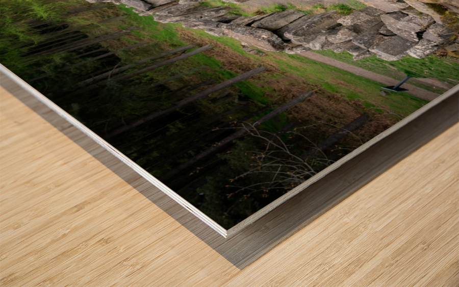 Standing stones of the Druids Plantation in Nidderdale Wood print