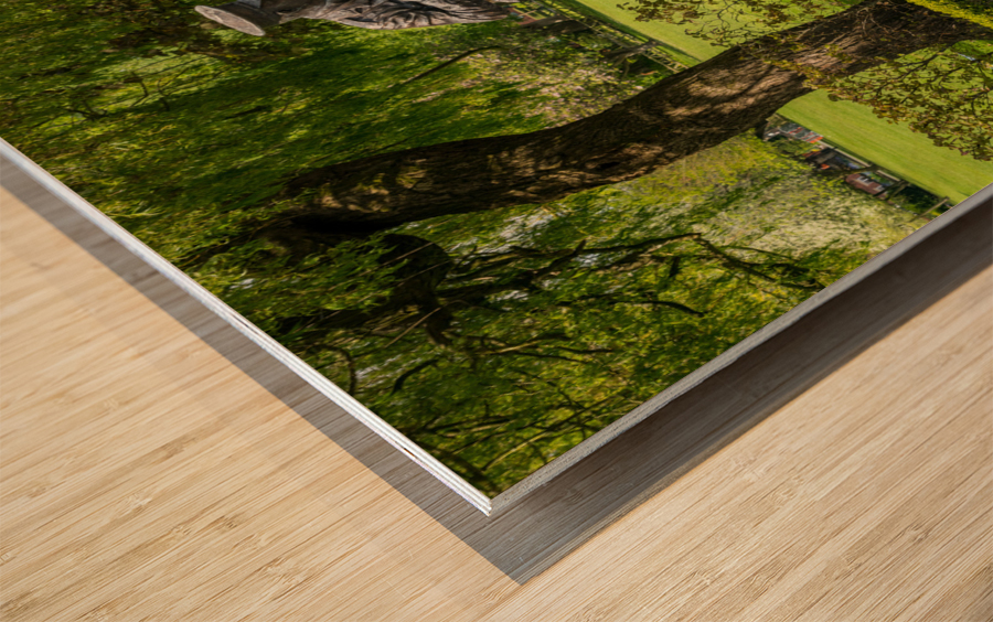  Wilfred Owen statue in Oswestry park in Shropshire Wood print