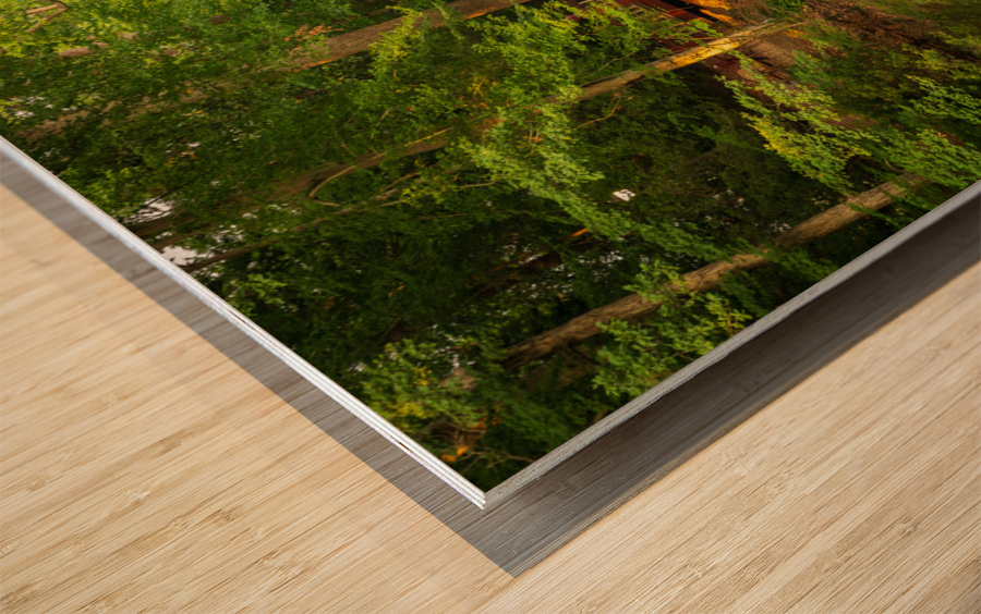 Crim Dell bridge at William and Mary college Wood print