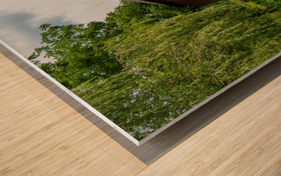 Dents Run Covered bridge near Morgantown WV Wood print