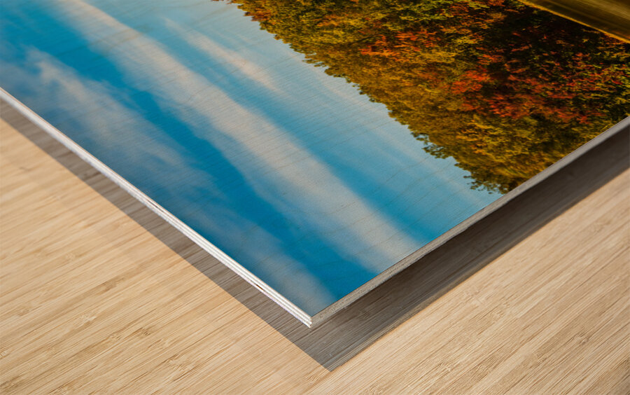 Fall leaves surround reservoir in Coopers Rock State Forest in W Wood print