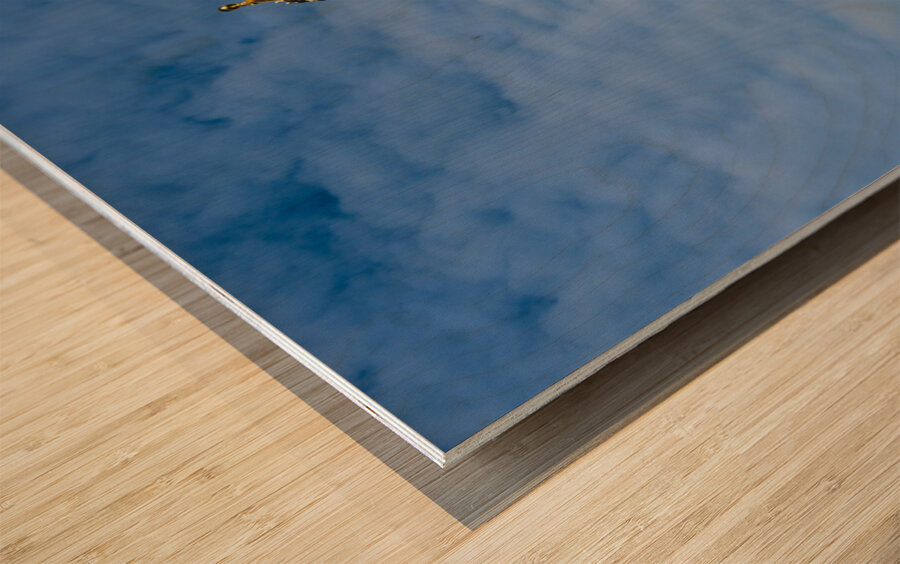 Facade of the State Capitol building in St Paul Minnesota Wood print