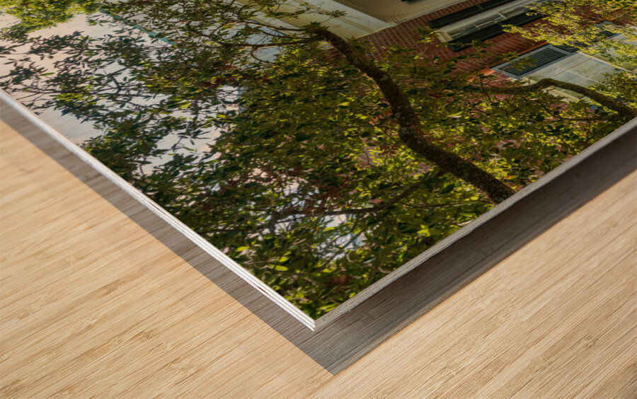 Facade of antebellum home in Natchez in Mississippi Wood print