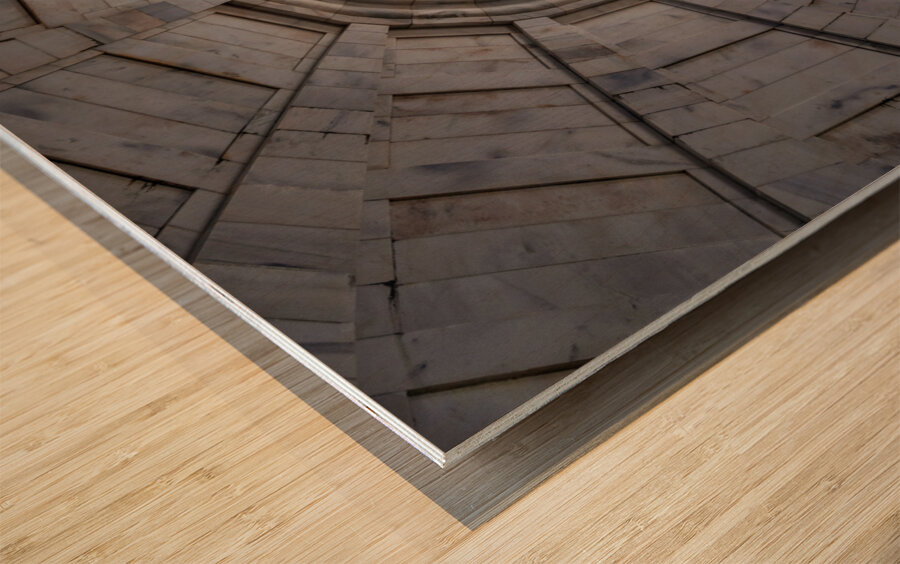 Memorial in National Park for the Vicksburg siege in Mississippi Wood print