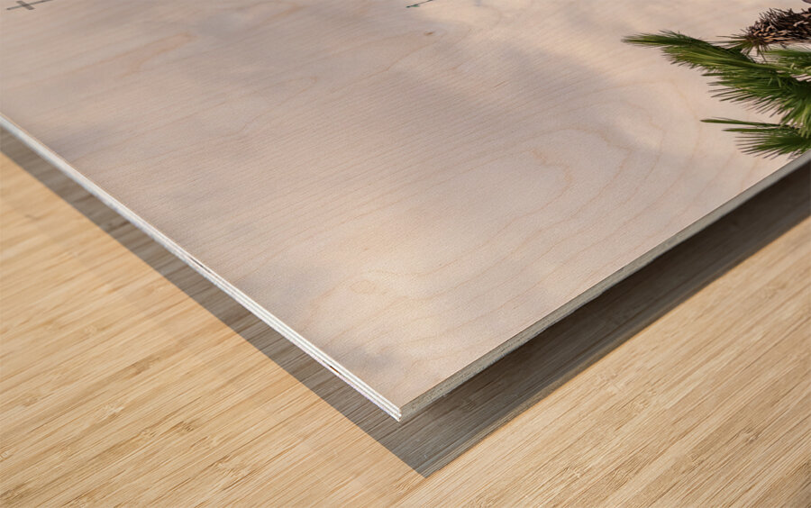 Facade of Cathedral Basilica of Saint Louis in New Orleans LA Wood print